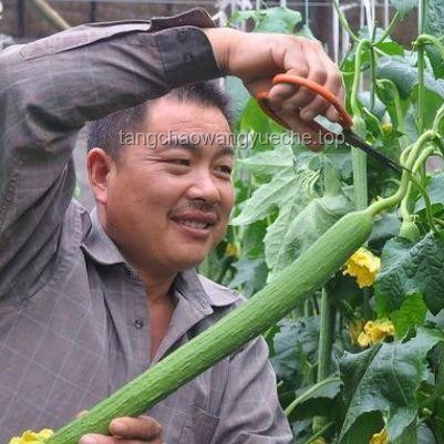 千万别看到3分14秒！视频观看高效管理指南