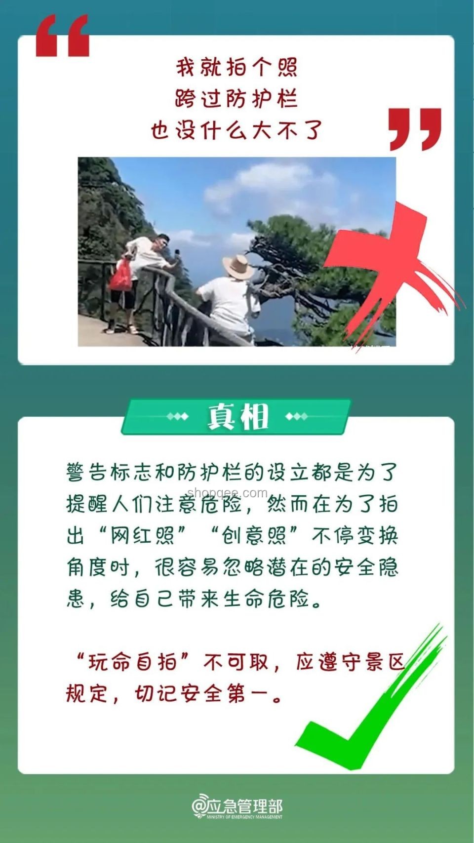 真相探索新径：三亚被咬事件与公众认知重构